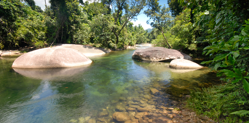 Daintree to Cairns