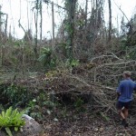 003a_after-cyclone_dry-creek